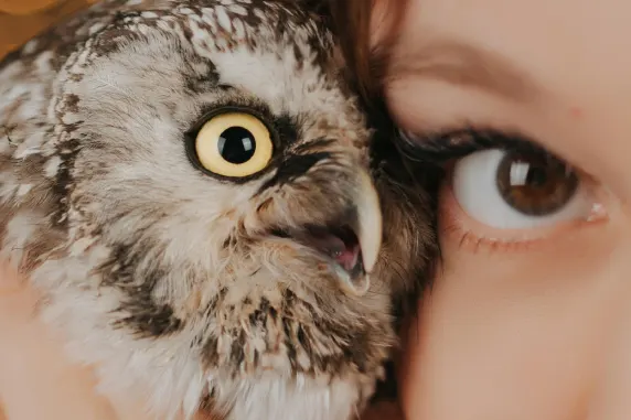 베가스와일드 카지노 지원